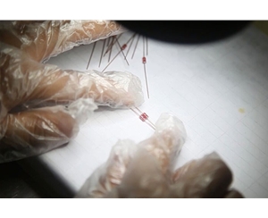 電子顯微檢驗(yàn)